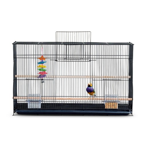 All living things - all, bird