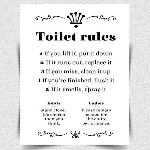Toilet rules metal - toilet,