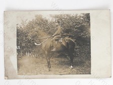 Soldier on Horseback Military