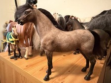 Custom magpie model - magpie, arab