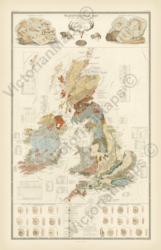 Antique palaeontological map