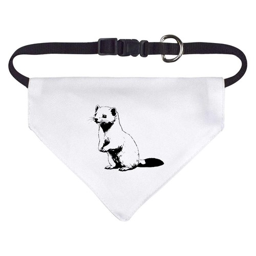 Standing ferret dog cat - dog, /