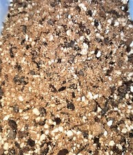 Peat free professionally mixed