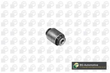 Control/Trailing Arm Mounting