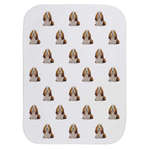 Basset hound puppy - 'basset,