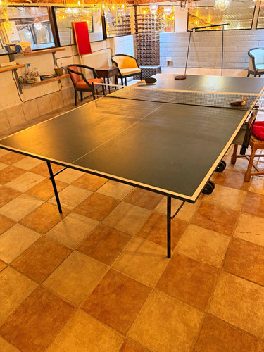 Butterfly folding table tennis - table,