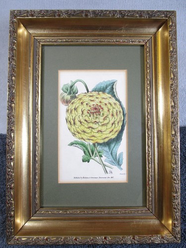 Antique james andrews 1847 - antique,