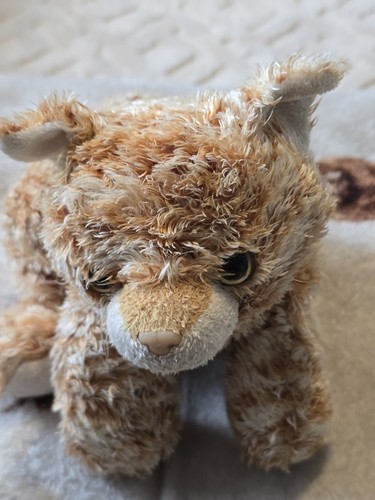 Aurora scruffy floppy - scruffy,