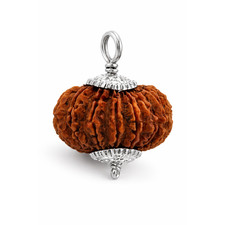 20 Mukhi Rudraksha Bead –