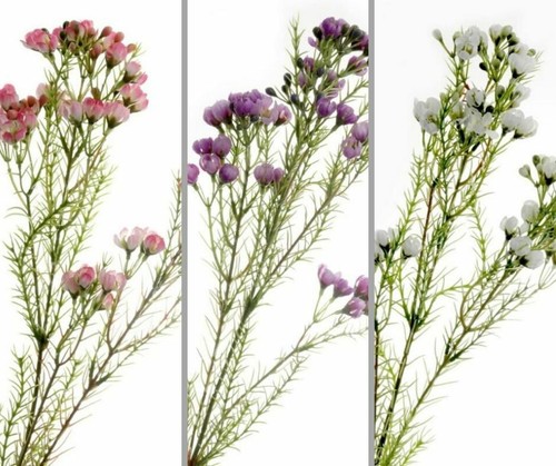 Artificial wax flower spray - artificial,
