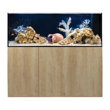 Aqua one aquarium fish - one,