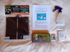 GIANT AFRICAN LAND SNAIL ADULT