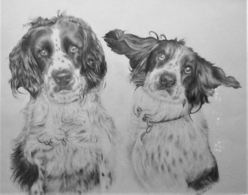 Hand drawn portraits - drawn,