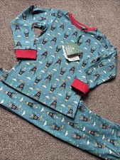 Little Green Radicals Rocket