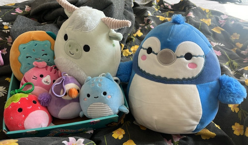 Squishmallows bundle