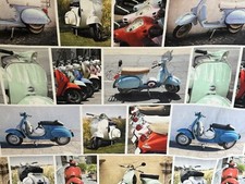 Bespoke Roman Blind Scooter