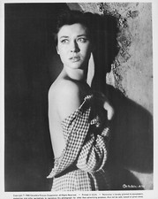 Gia Scala the guns of navarone promo 10" x 8" Photograph no 6