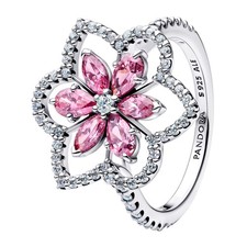 Pandora Sterling Silver Double