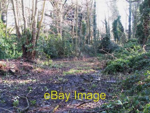 Photo 6x4 small pond west - 6x4,