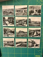 Set of 12 Vintage Dartmoor RP