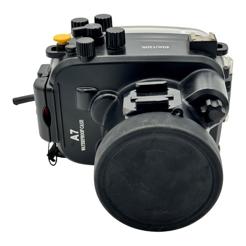 Sea frogs underwater housing - frogs,