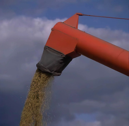 Grain silo discharge photo - grain,