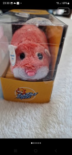 Zhu pets hamster - zhu,