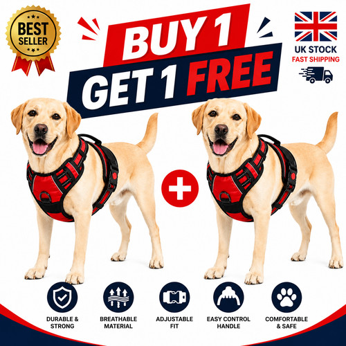 Red large dog harness buy - harness,, 1