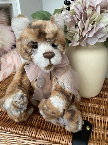 Charlie bears plumo early - bears, bird