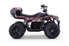 Kids Flag Gas Powered 40CC