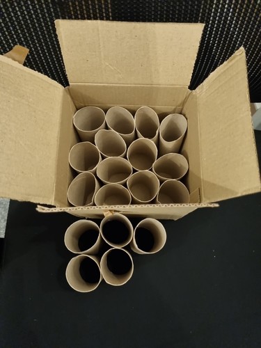 Empty toilet roll tubes - empty,