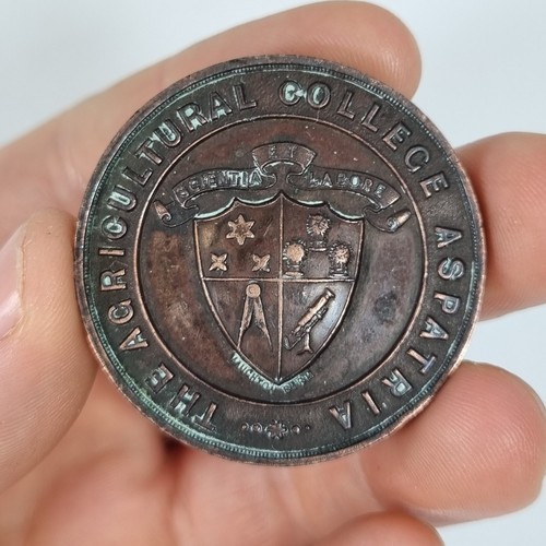 Antique bronze medal - bronze,