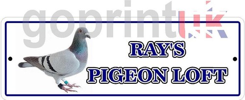 Personalised pigeon loft room