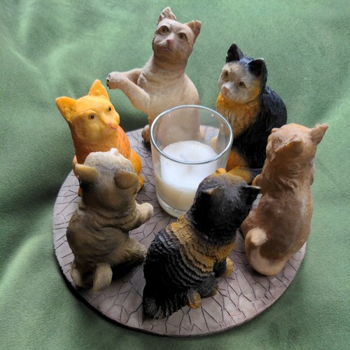 Circle cats inc tabby - tabby, &