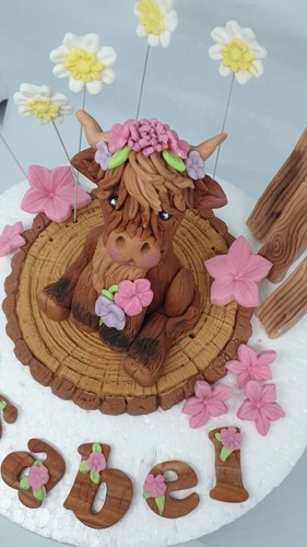Highland cow farm animals - cow,