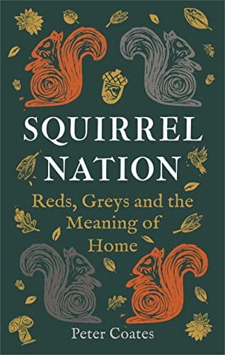Squirrel nation reds greys - reds,,