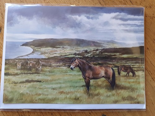 Exmoor ponies porlock - ponies,