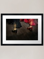Flamenco Motion Framed Art