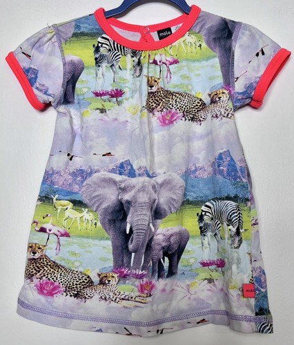 Molo safari animals graphic - molo,