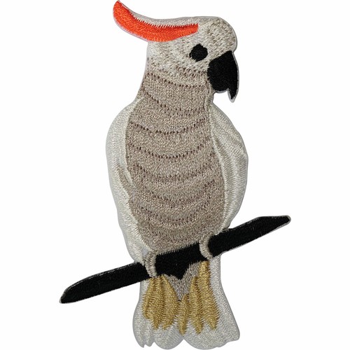 Parrot patch iron sew - parrot,