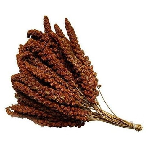Large natural red millet spray - red,