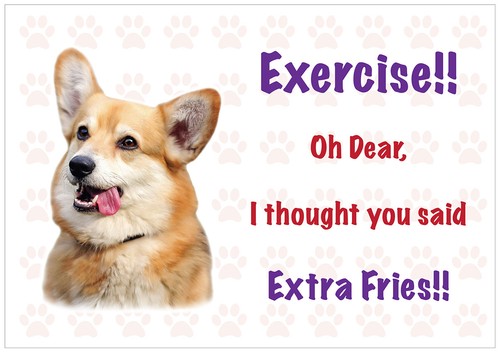 Funny welsh corgi - funny, vinyl
