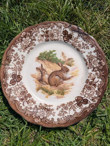 Rare royal worcester palissy - rare,,