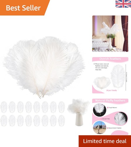 Natural white ostrich - 20,