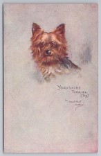 Toy Yorkshire Terrier Dog Postcard Tuck Oilette Sketchy Studies Maud Watson
