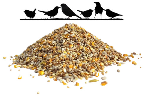 Garden wild bird premium - bird,