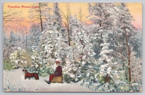 Canadian winter scene boy sled - winter,