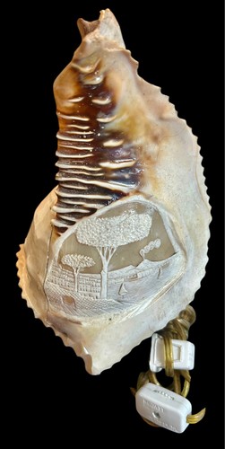 Vintage carved conch seashell - vintage,
