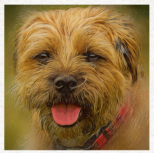 Dog border terrier painting - dog,