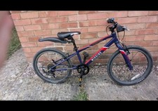 Wiggins Chartres Junior Hybrid